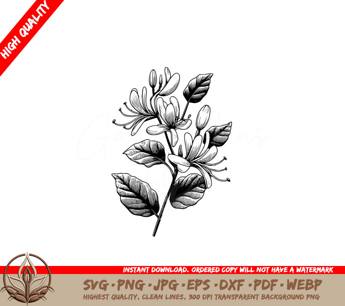 Honeysuckle Blossoms SVG - Digital Product File