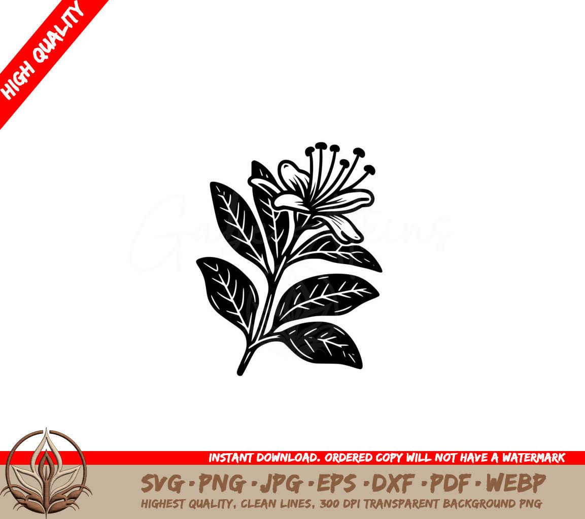 Honeysuckle Silhouette SVG - Digital Product File Variants