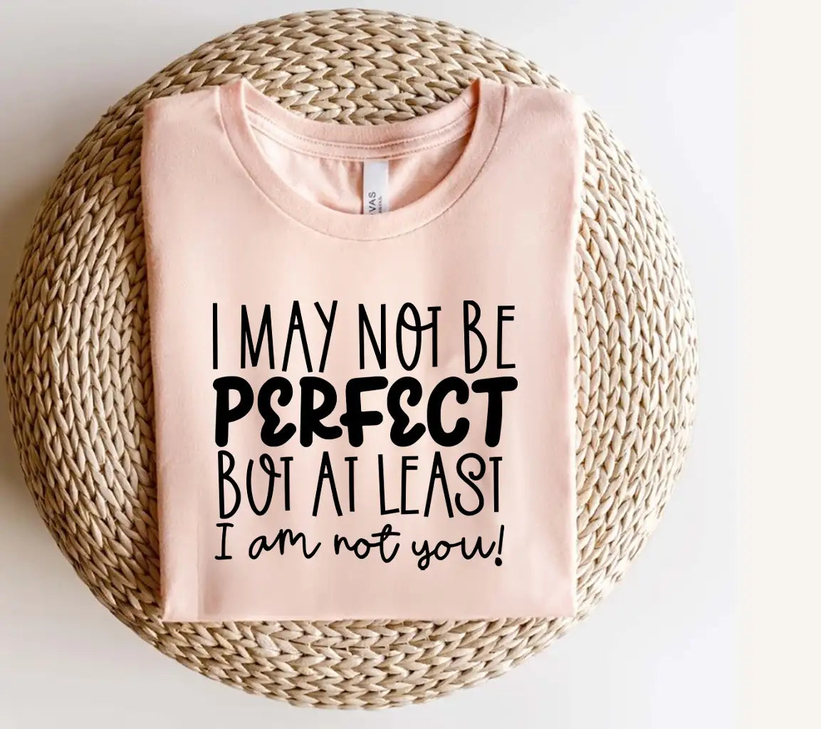 Im Not Perfect, But At Least Im Not You - Sarcastic Quote SVG SVG