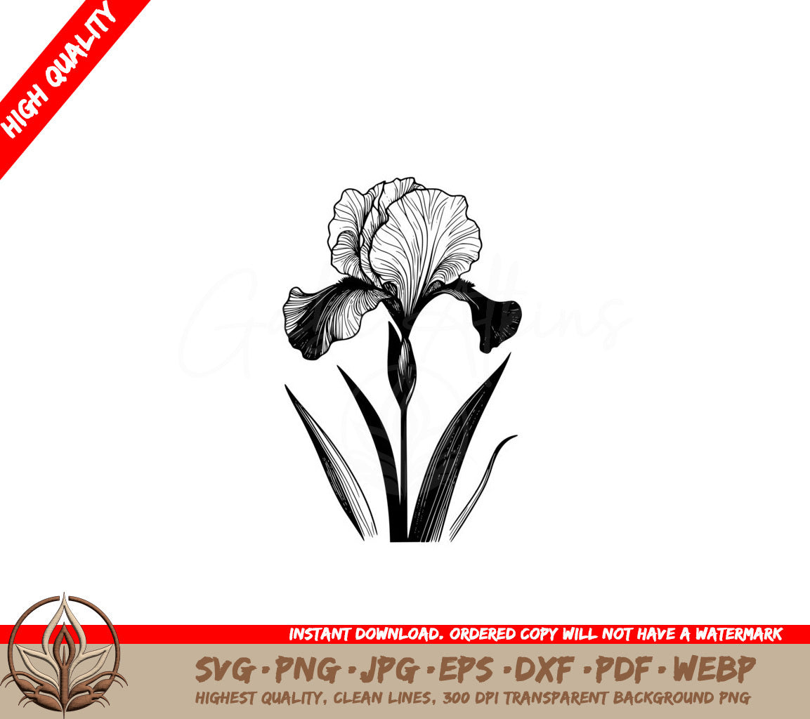 Iris Beauty SVG Digital File - Multiple Formats