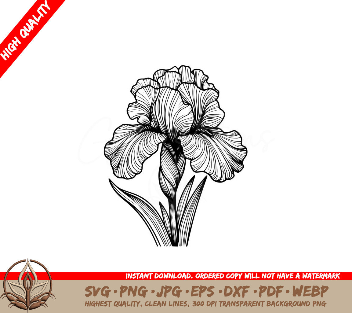 Iris Grace Digital Product - SVG