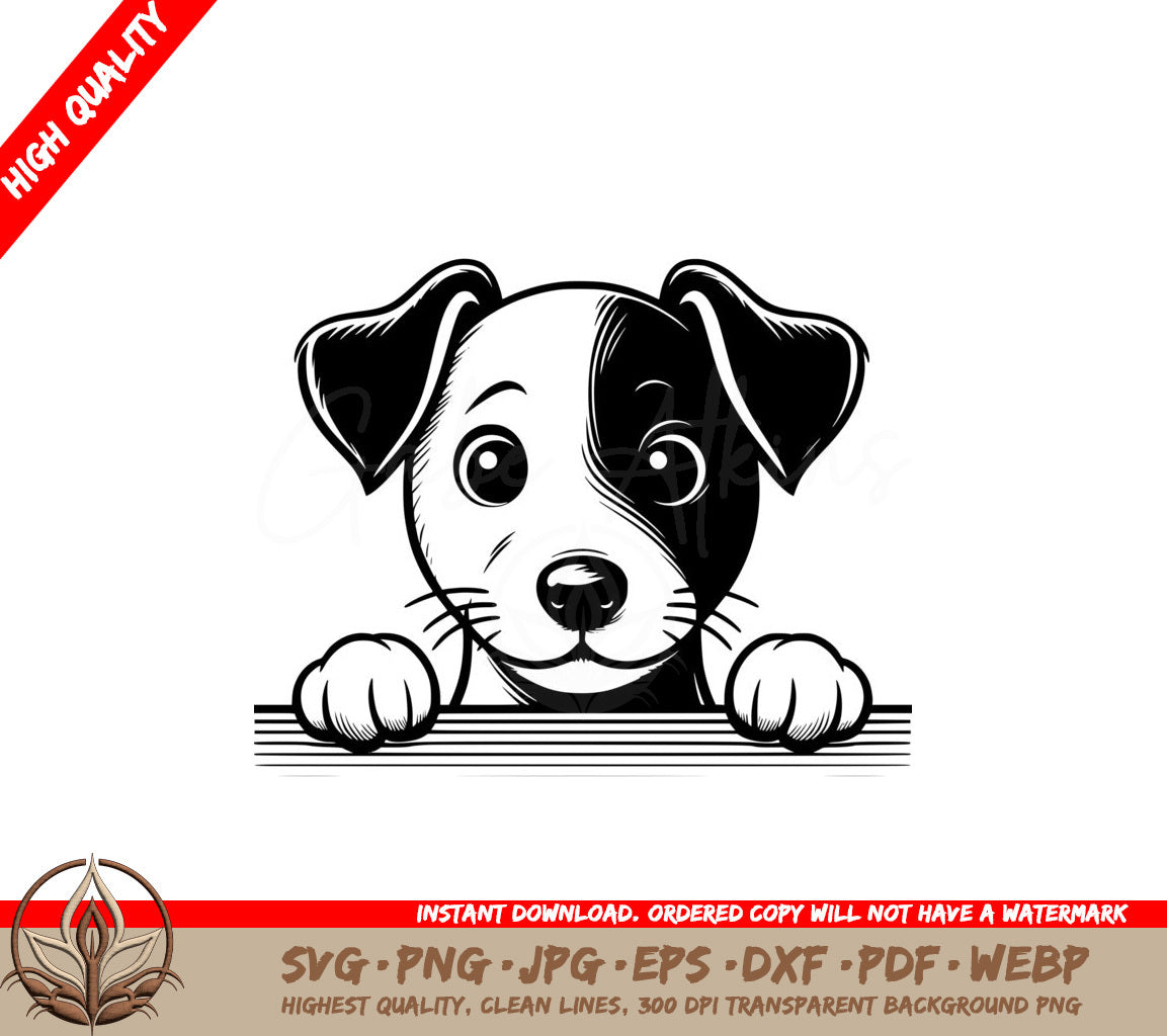 Jack Russell Terrier Puppy SVGarez