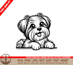 Joyful Biewer Terrier SVG - Digital Product in Multiple Formats