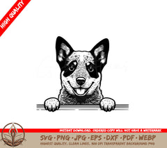 Joyful Blue Heeler SVG Digital Product