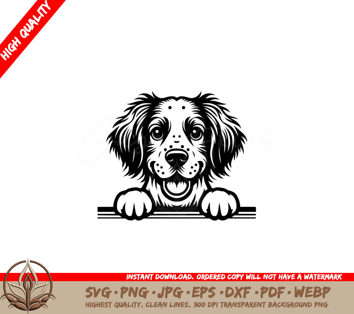 Joyful Brittany Spaniel Grin SVG -  Digital Product in various file formats