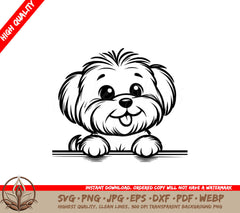 Joyful Maltese SVG - Digital Product in various file formats