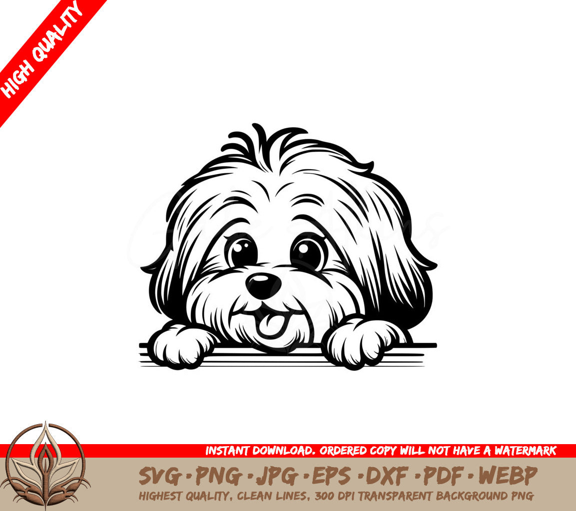 Havanese Dog Design SVG