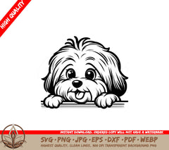 Havanese Dog Design SVG