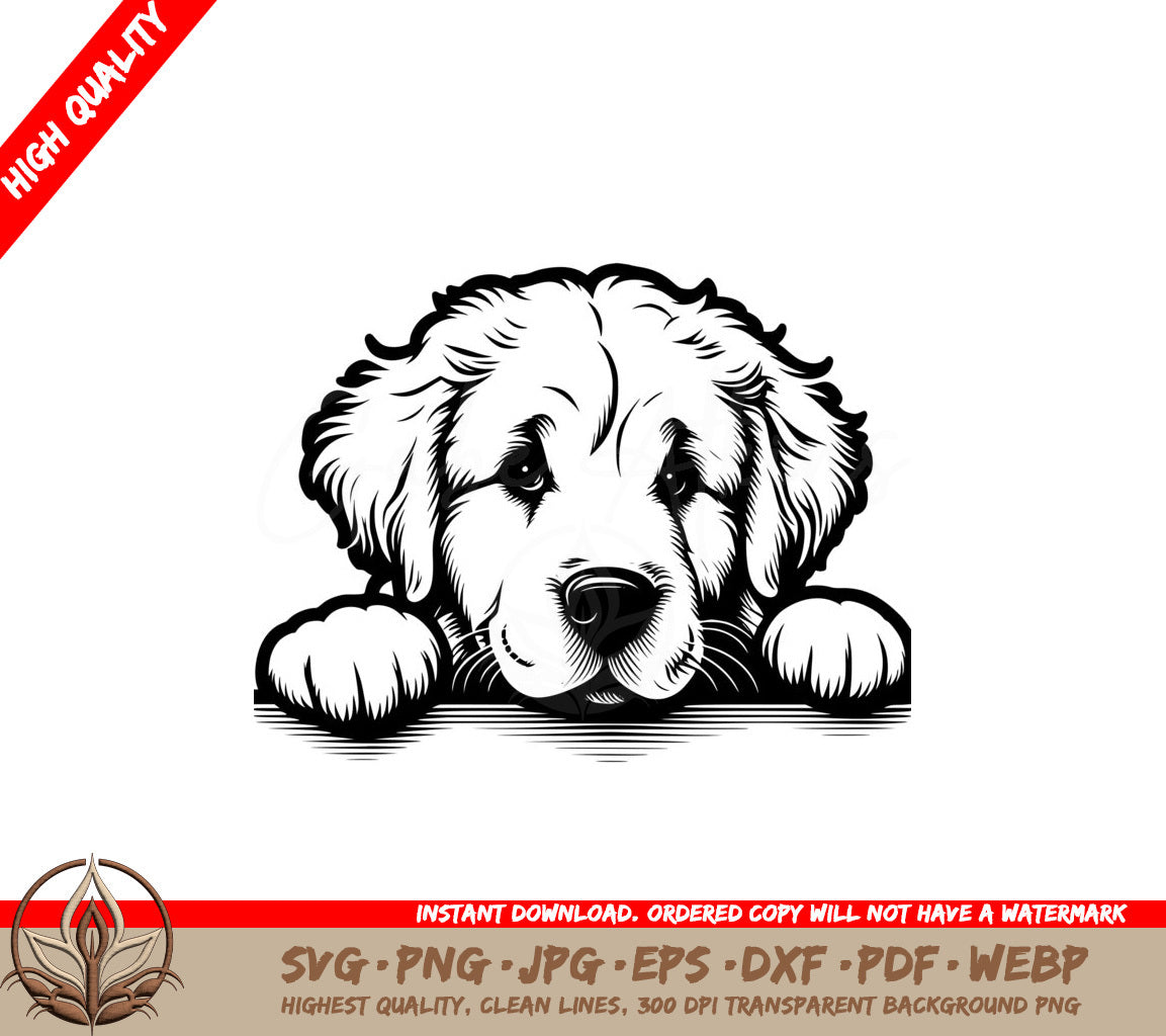 Kuvasz Paws and Relaxation SVG PNG JPG AI PDF DXF EPS  WebP 
