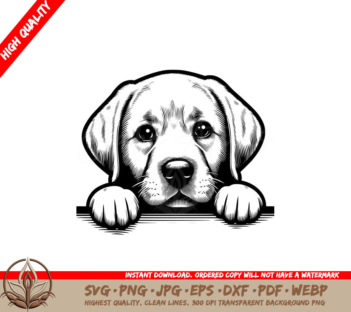 Labrador Retriever Puppy SVG - Digital Product File Formats