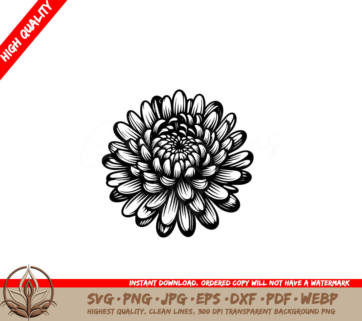 Chrysanthemum Bloom SVG - Digital Product in Multiple File Formats