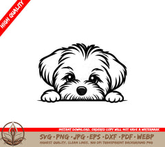 Maltese Peeking SVG - Digital Product in Multiple Formats