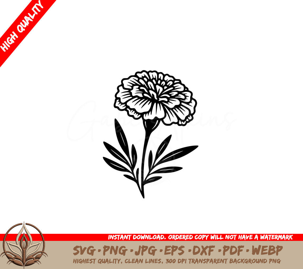 Marigold Flower Beauty SVG