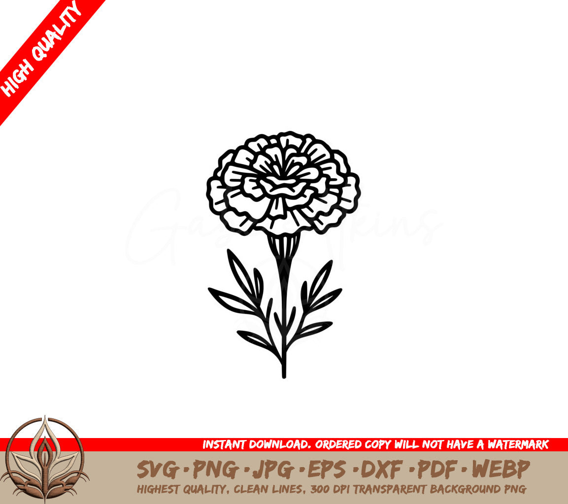 Marigold Flower Essence SVG