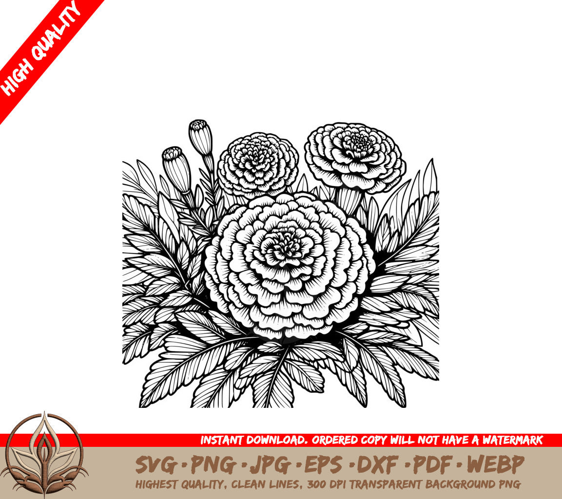 Marigold Blooming SVG - Digital Product File Offered in 8 Formats