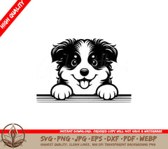 Mini American Shepherd Peek SVG - Digital Product in 8 File Formats