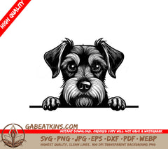  Schnauzer Peeking Over Wall SVG - Miniature Schnauzer Clipart SVG