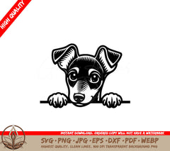 Miniature Pinscher Peeking SVG Available in Multiple Formats