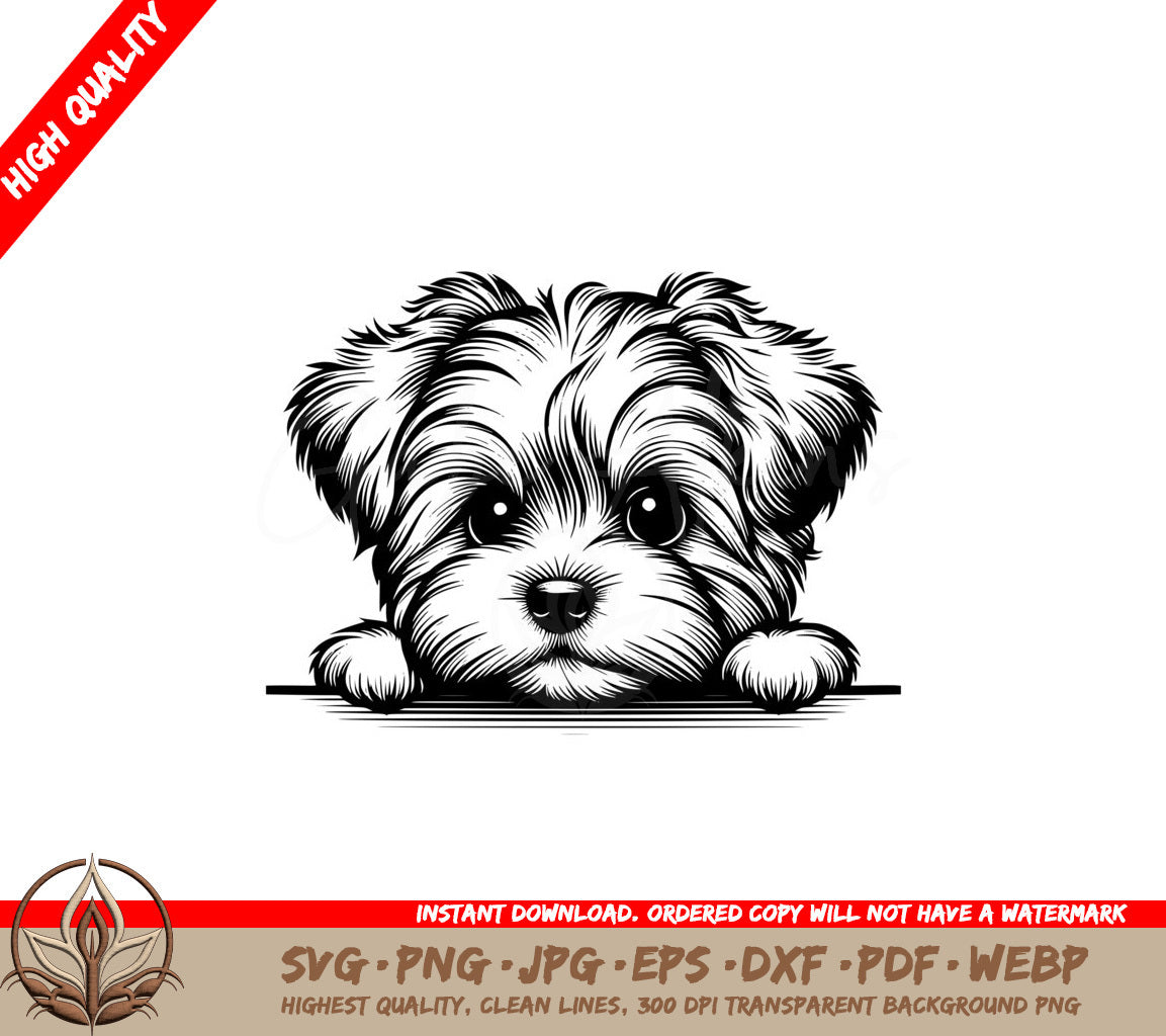 Morkie Pup SVG - Digital Product in Various File Formats