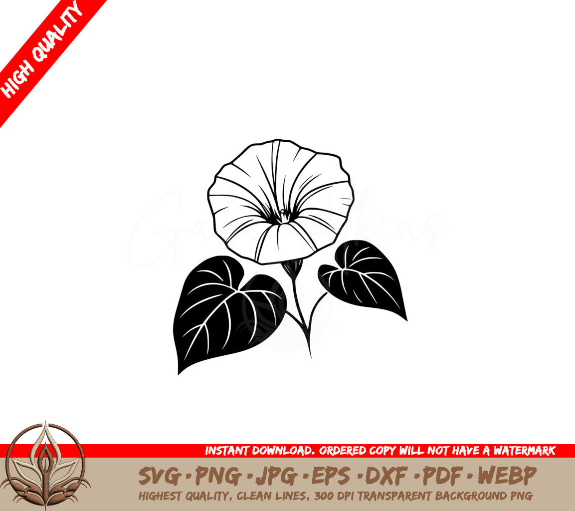 Morning Glory Beauty SVG - Digital Product file formats: SVG, PNG, JPG, AI, PDF, DXF, EPS, WebP