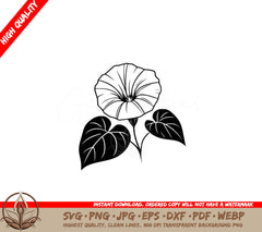 Morning Glory Beauty SVG - Digital Product file formats: SVG, PNG, JPG, AI, PDF, DXF, EPS, WebP