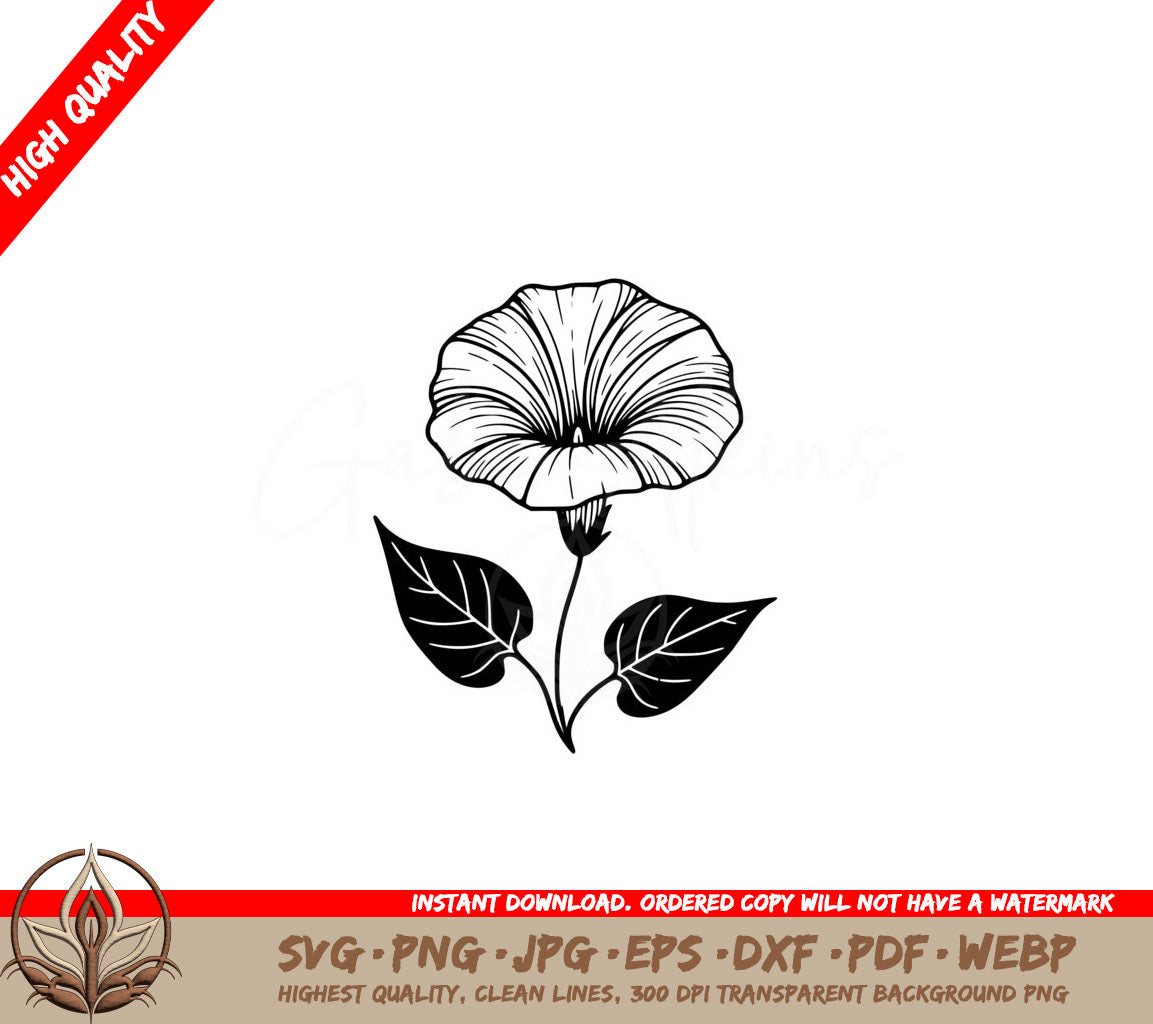 Morning Glory Bliss SVG: Digital Product in Multiple File Formats