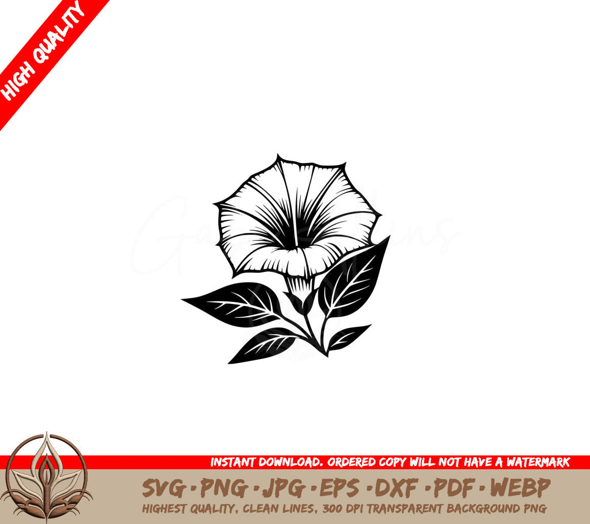 Morning Glory Bloom SVG - Digital File for Flexibility