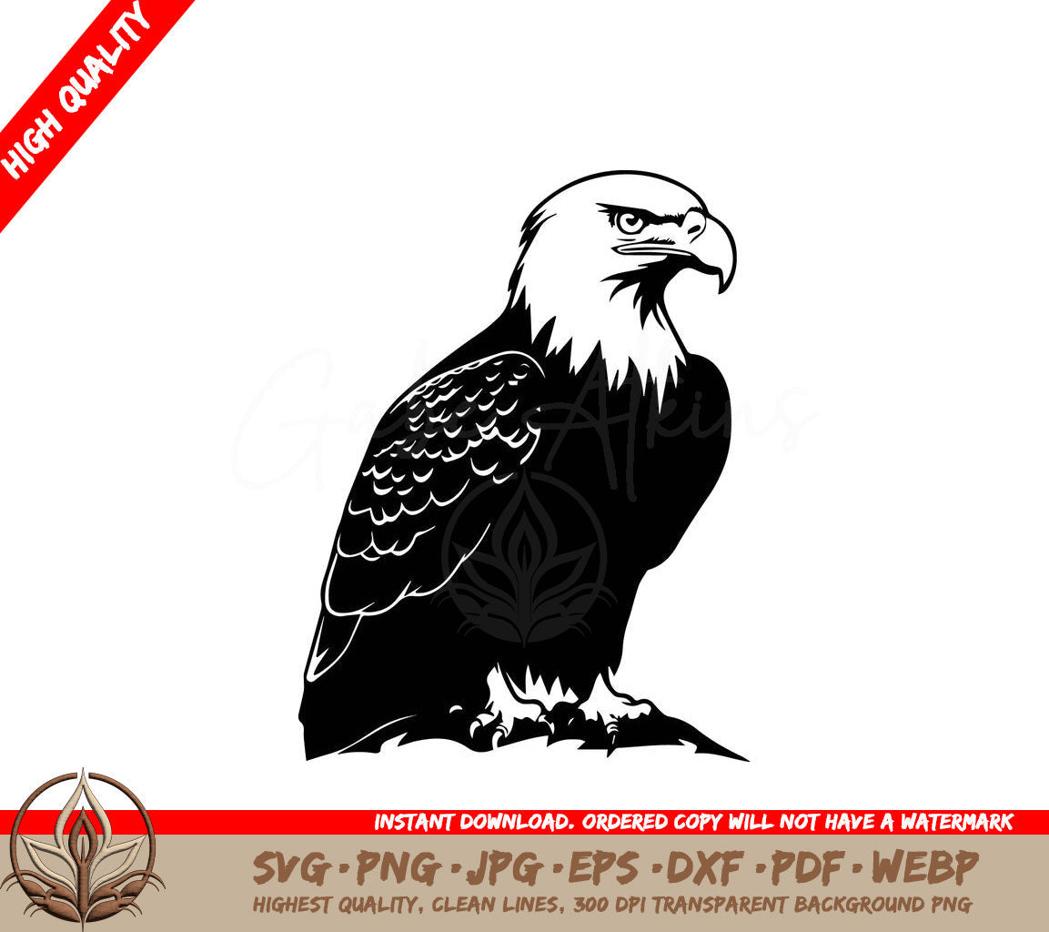 Noble Sitting Eagle Vector Illustration SVG 