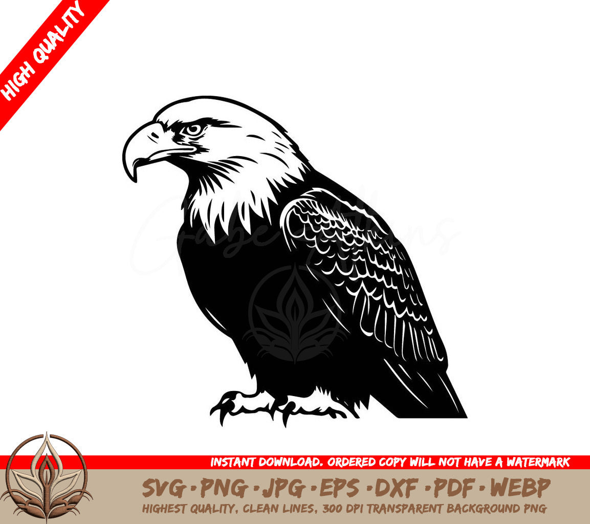 Noble Sitting Eagle Vector Illustration SVG 