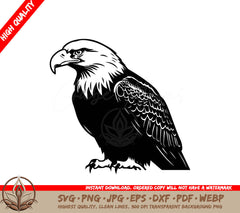 Noble Sitting Eagle Vector Illustration SVG 