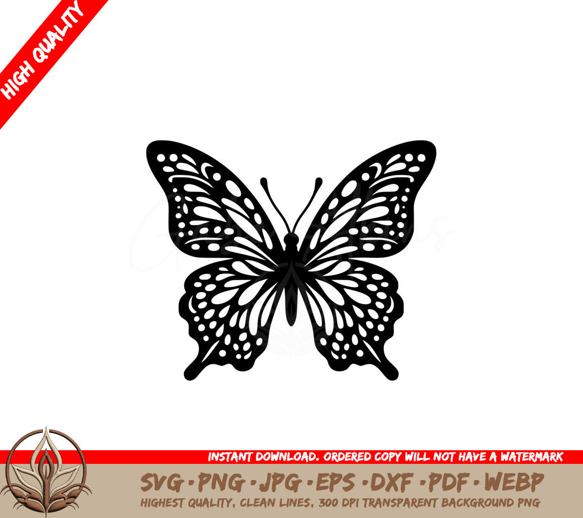 Patterned Butterfly Winged Beauty SVG