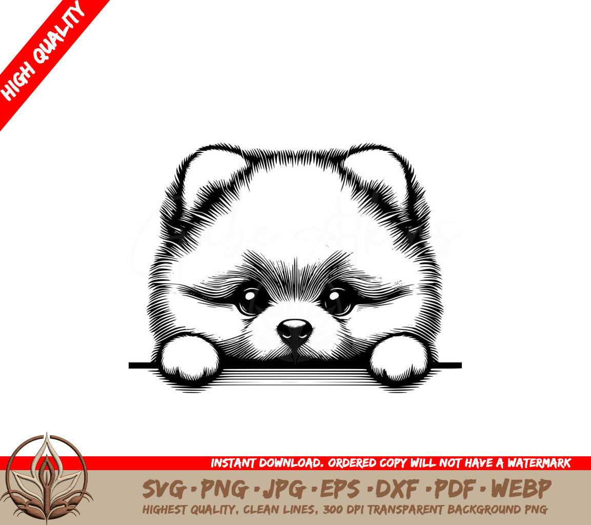 Paws and Peeks Pomeranian SVG