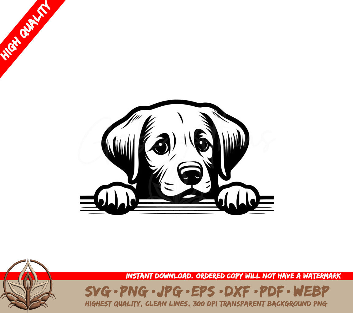 Pawsitive Chesapeake Bay Retriever SVG