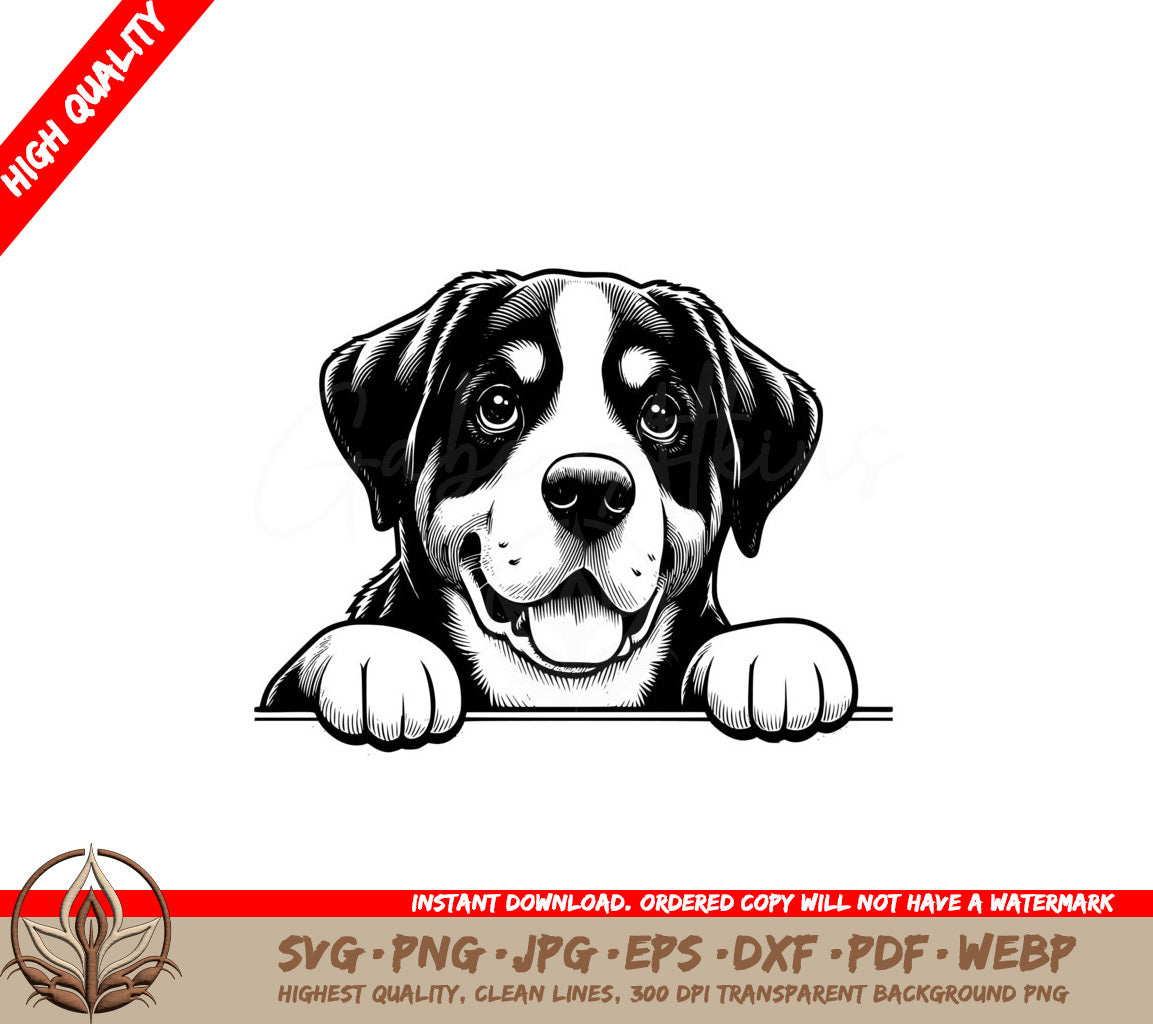 Pawsome Swissy SVG - Digital Product File in Various Formats