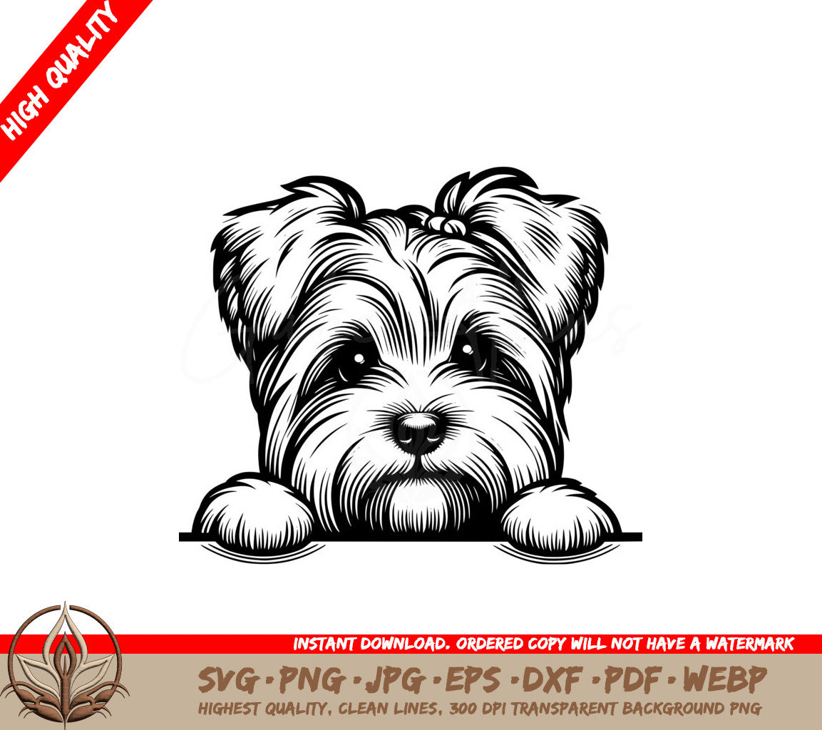 Peekaboo Biewer Terrier SVG - Digital Product, Multiple Formats