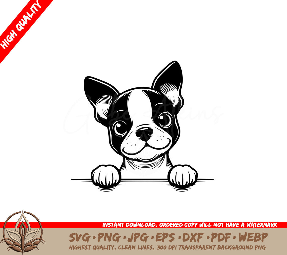 Peekaboo Boston Terrier SVG Product