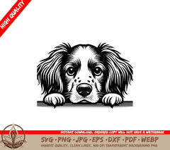 Peekaboo Brittany Spaniel SVG