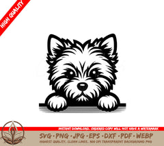 Peekaboo Cairn Terrier Pooch SVG - Digital Product in Multiple Formats