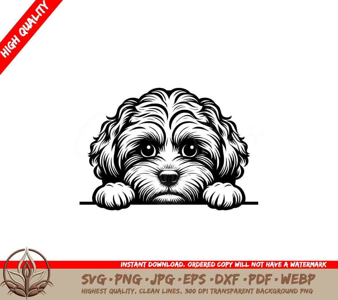 Peekaboo Cavapoo SVG - Digital Product in Various File Formats