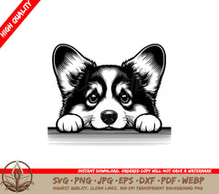 Peekaboo Corgi Pup SVG - Digital Product in Multiple File Formats