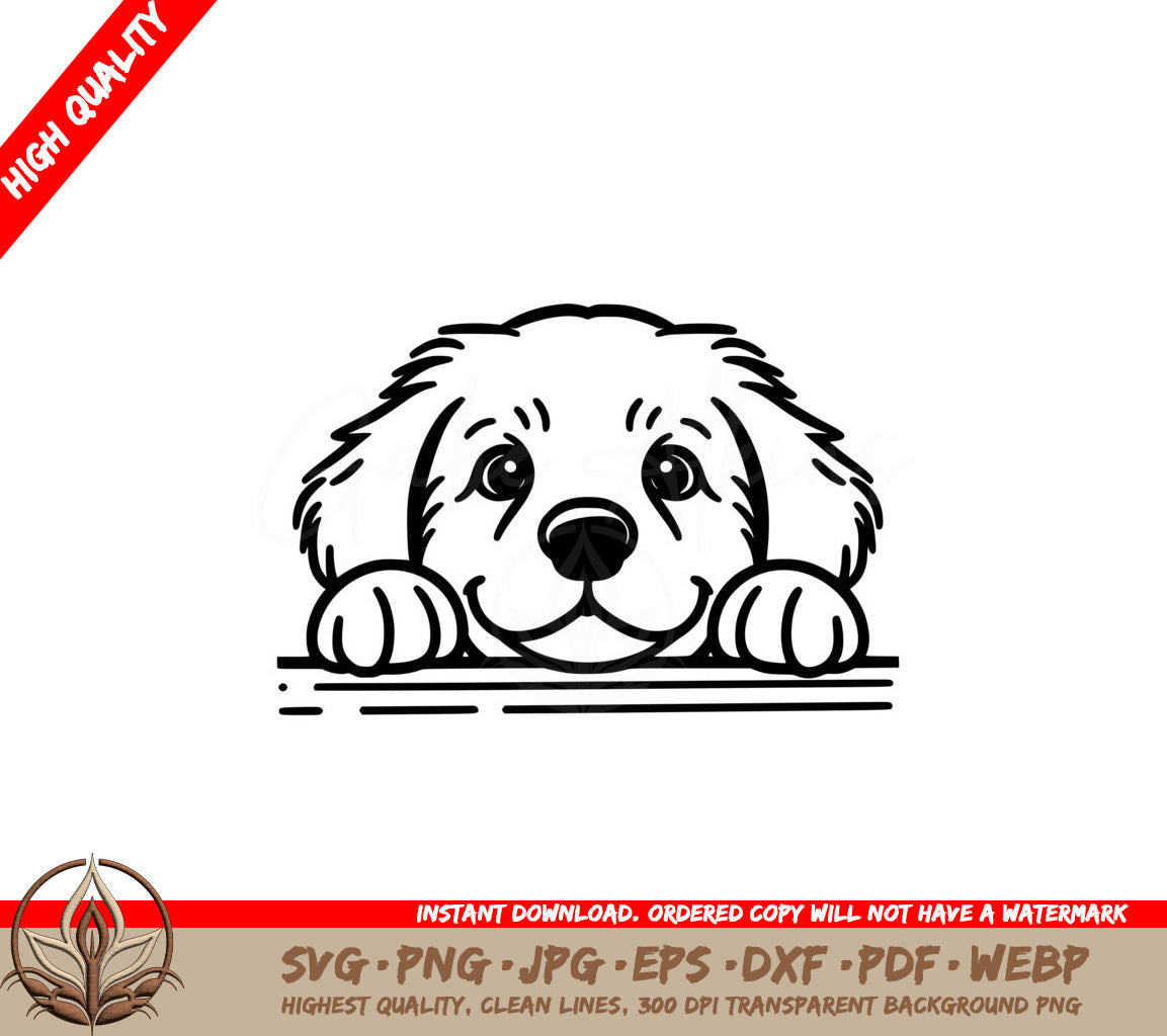 Peekaboo Labrador Retriever SVG - Digital Product for Flexibility