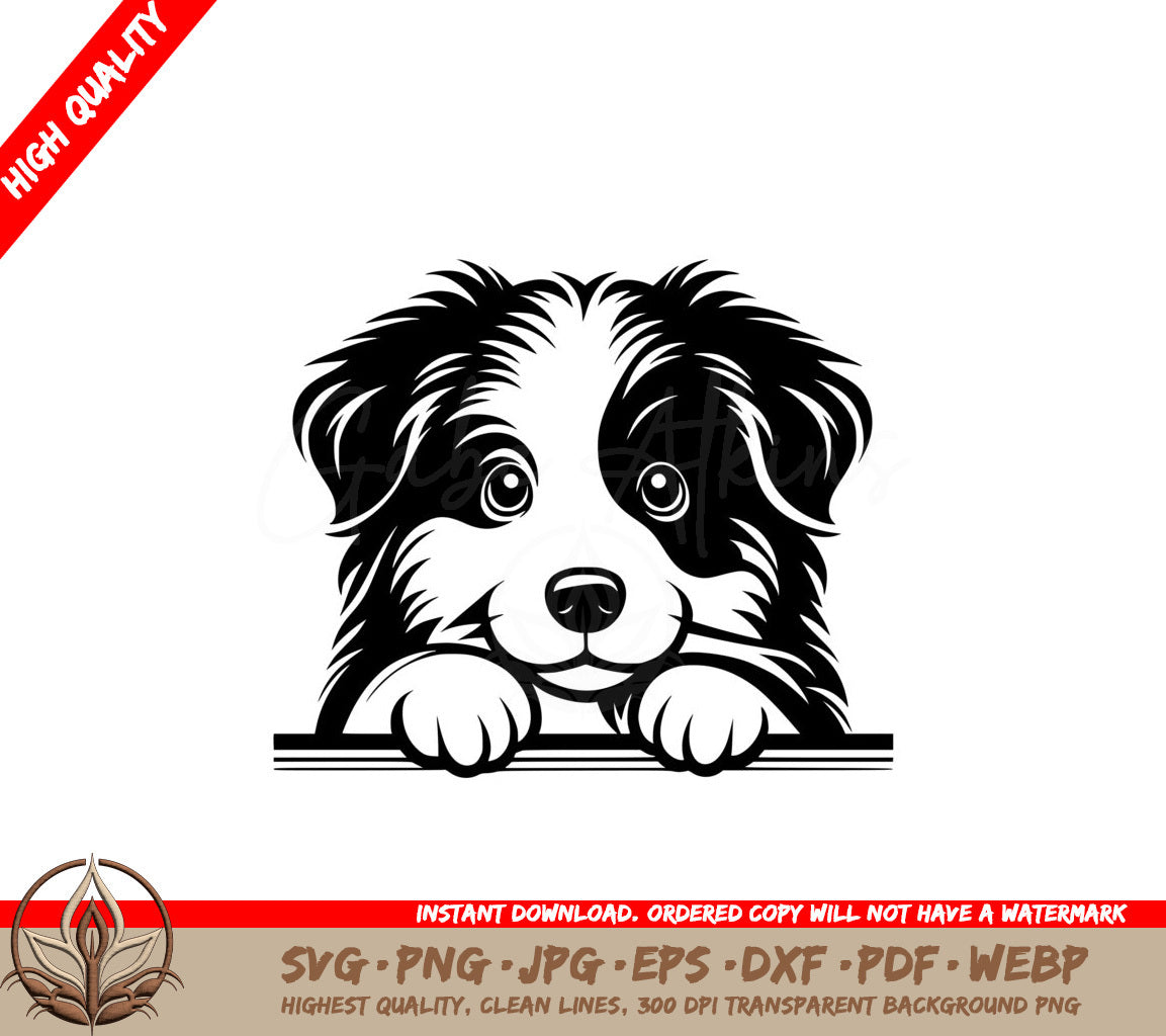 Peekaboo Miniature American Shepherd SVG