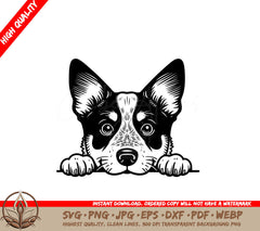 Peekaboo Red Heeler SVG Digital Product File