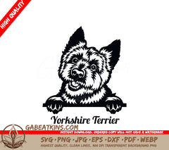 Yorkshire Terrier Peeking SVG SVG