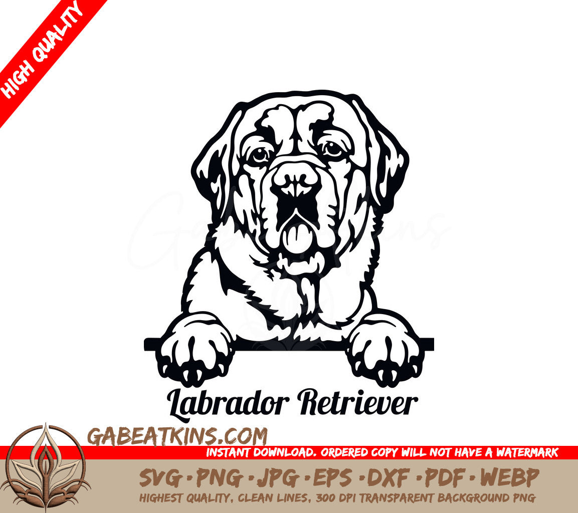 Labrador Retriever Peeking Dog SVG SVG