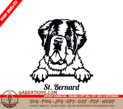 Peeking St. Bernard SVG SVG