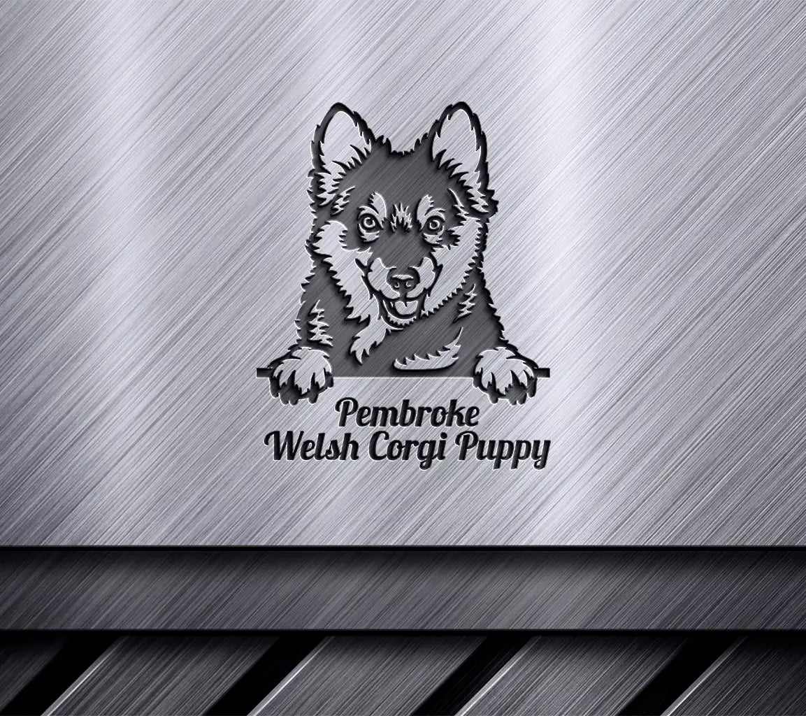 Pembroke Corgi Puppy Peeking SVG SVG