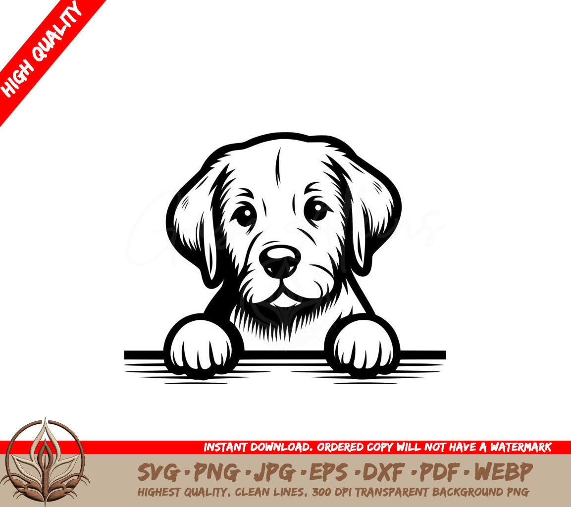 Peeking Chesapeake Bay Retriever SVG