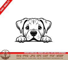 Peeking Dogo Argentino Digital Product in SVG