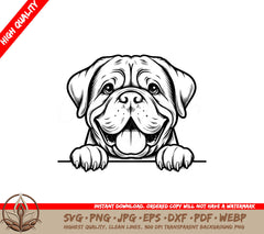 Peeking Dogues De Dordeaux SVG • Digital File in Various Formats